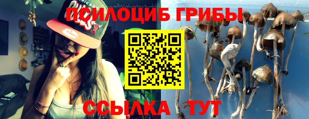 Галлюциногенные грибы Psilocybine cubensis Балабаново