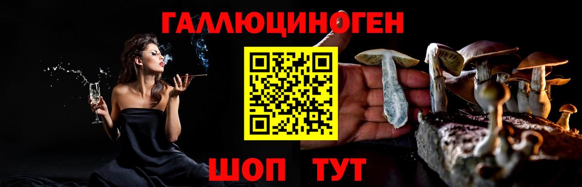 Галлюциногенные грибы мицелий  Вход с VPN  даркнет сайт  Псилоцибиновые грибы Psilocybe  Балабаново 